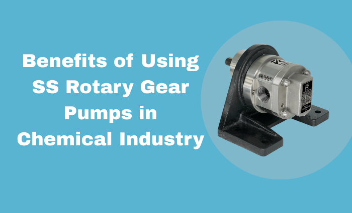 SS rotary gear pump for chemical industry